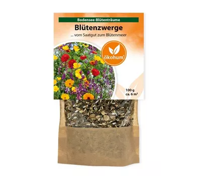 Bodensee Blütenträume Blütenzwerge