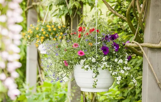 Urlaub auf Balkonien – Grüne Oasen auf dem Balkon Urlaub auf Balkonien – Grüne Oasen auf dem Balkon