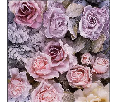Winter Roses