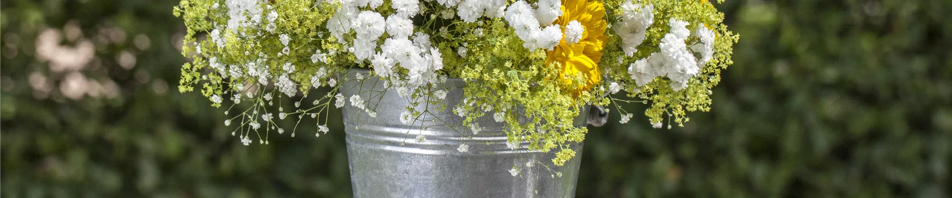 Blumenstrauss Blumenstrauss