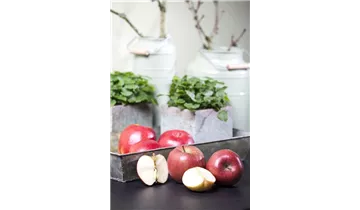 Apfel Braeburn