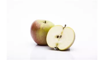 Apfel Cox Orange Renette