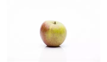 Apfel Cox Orange Renette