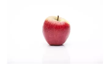 Apfel Rondo (Säulenapfel)