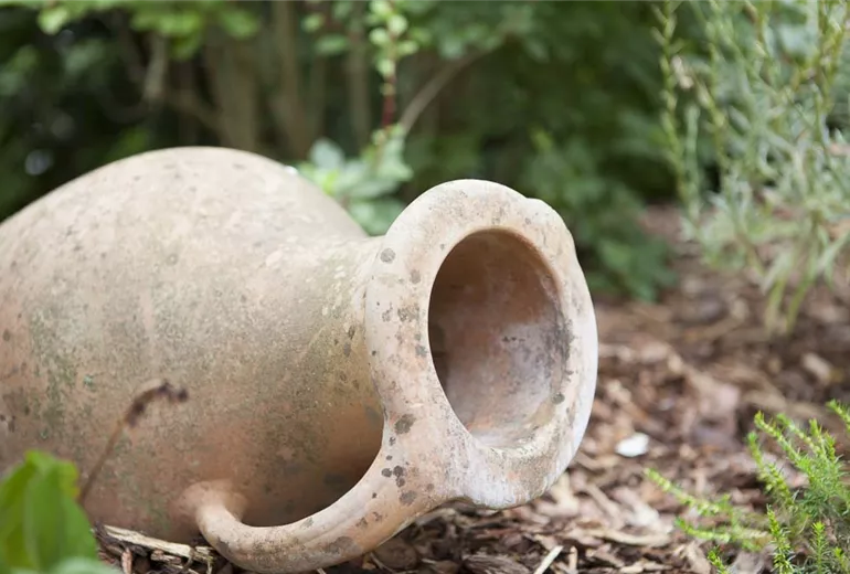 Gefässe im Garten
