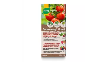Maag