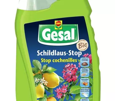 Gesal Schildlaus-Stop