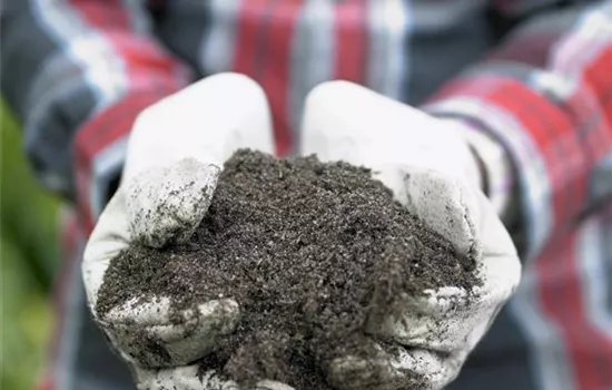 Den Garten effektiv düngen und pflegen Den Garten effektiv düngen und pflegen
