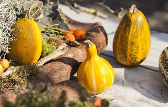 Es wird bunt! Herbst-Deko im Haus Es wird bunt! Herbst-Deko im Haus