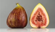 Feigenbaum