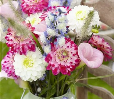 Beauty-Kur für den Blumenstrauss: Pülverchen und Hausmittel Beauty-Kur für den Blumenstrauss: Pülverchen und Hausmittel
