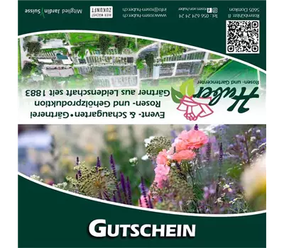 Gutschein