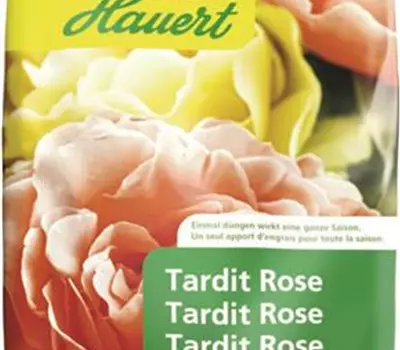 Hauert Tardit Rose
