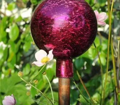 Beetstab "Messina" / L