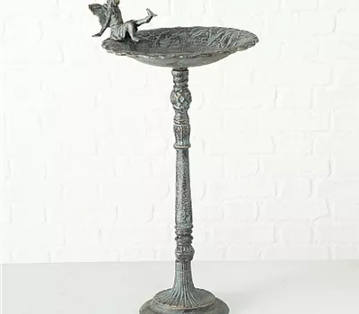 Vogeltränke / -bad Glory