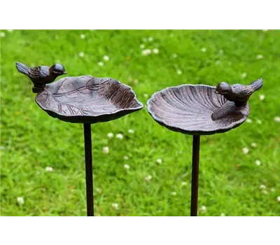 Vogeltränke / -bad mit Vogel