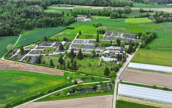 2023-05-14 Baumschule von Oben Maik Shcubert Foto (2).jpg