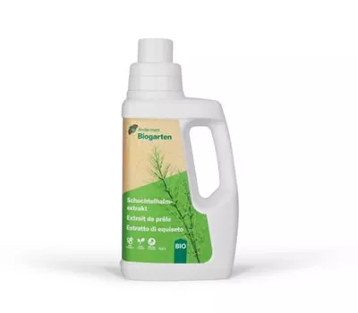 Schachtelhalmextrakt