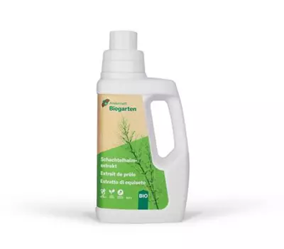 Schachtelhalmextrakt