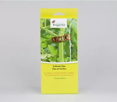Aufbinde-Clips