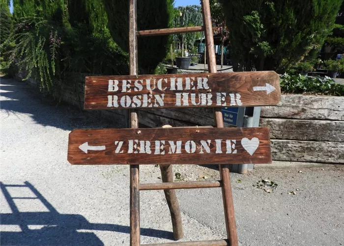 Hochzeit im Schaugarten
