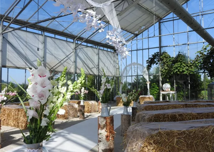 Trauung im Glashaus