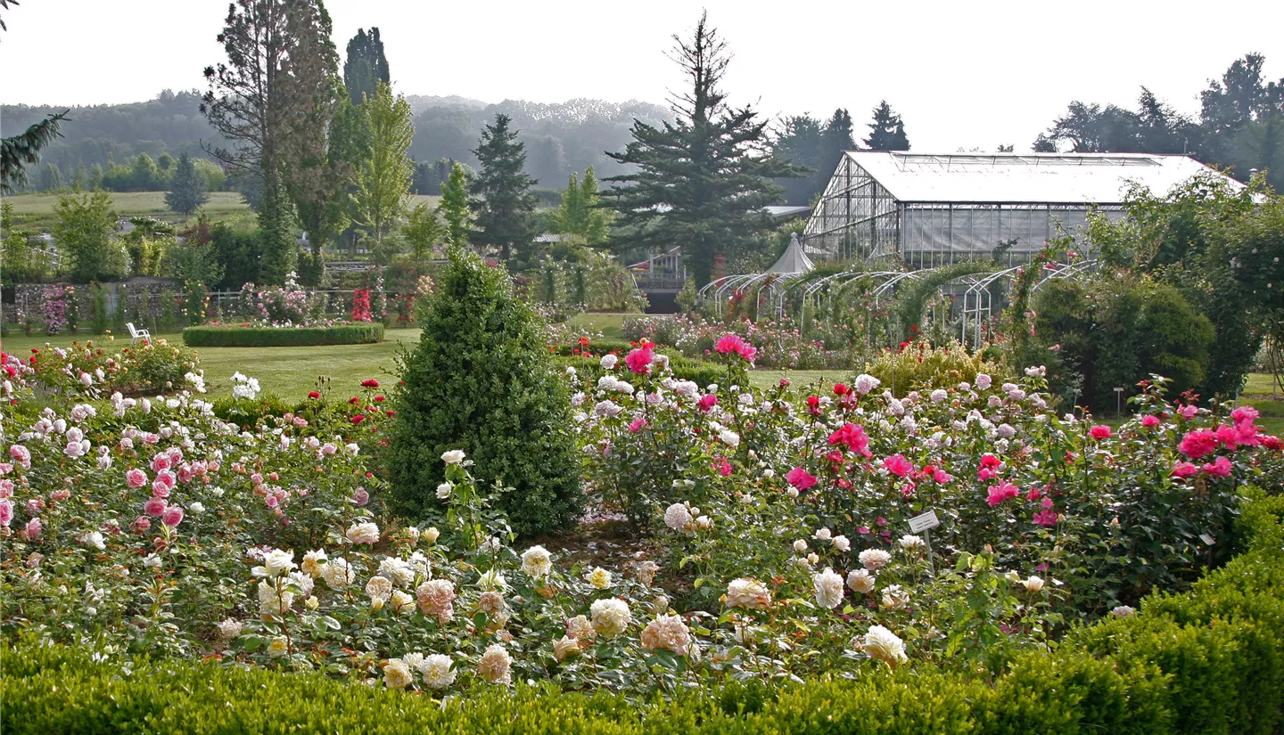Blick in den Schaugarten