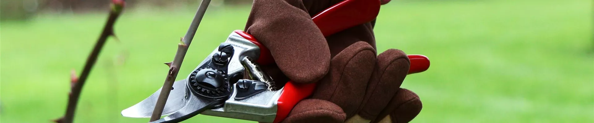 Schnittkurs bearbeitet (25)