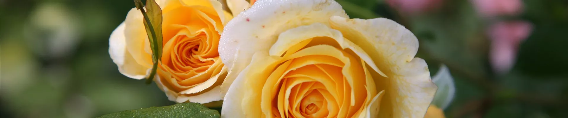 2017 Taufe Dominikus