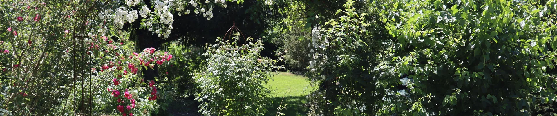 Schaugarten (4) Schaugarten (4)