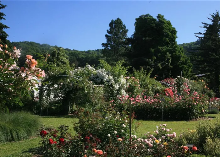 Vorträge und Führungen