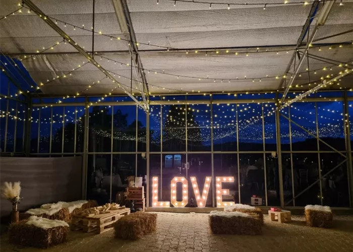 Hochzeit im Glashaus