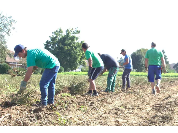 Hilfsperson Pflanzenproduktion Freiland 100%
