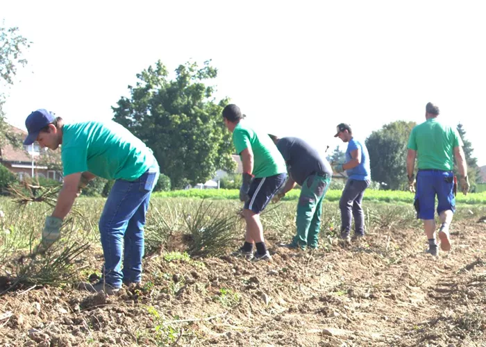 Hilfsperson Pflanzenproduktion Freiland 100%