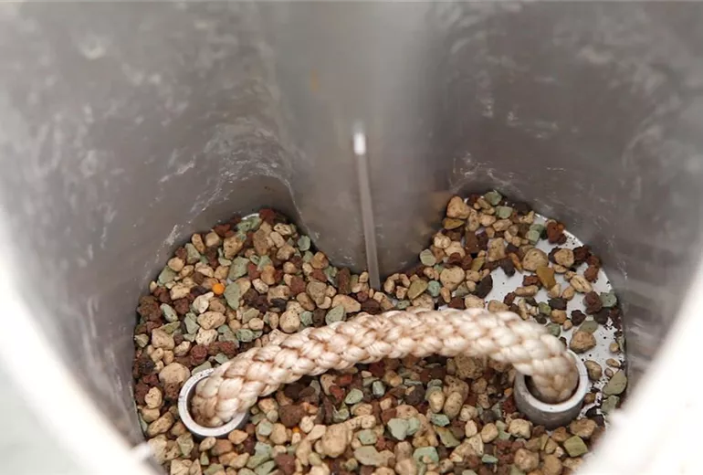 Einblatt - Einpflanzen in ein Gefäss (3)