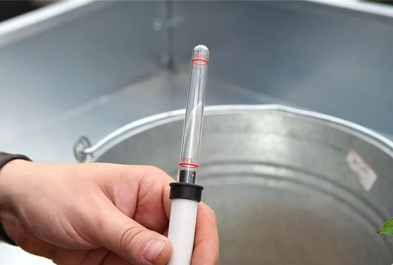 Einblatt - Einpflanzen in ein Gefäss (5)