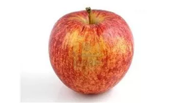 Apfel Royal Gala