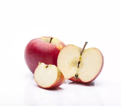 Malus (Apfel) 'Rubinola'