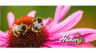 Banner Facebook 20232.png