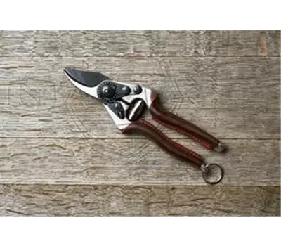 Felco 6 Elite