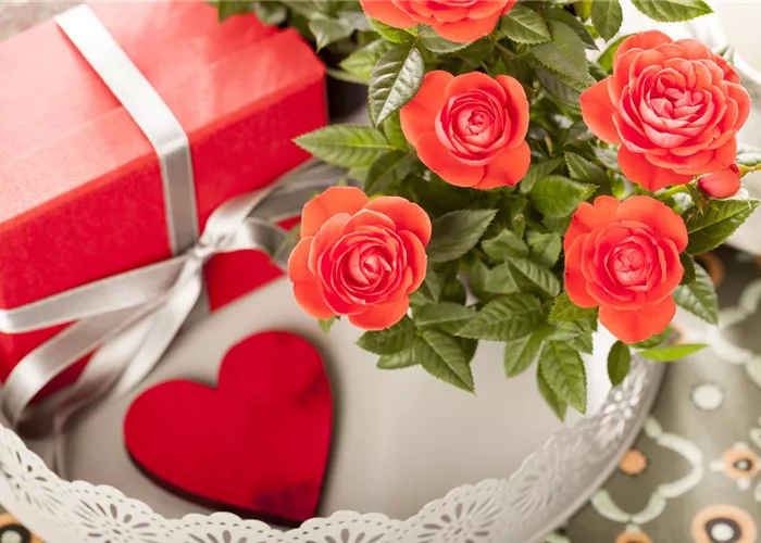 Eine Blume sagt mehr als tausend Worte – die Sprache der Blumen