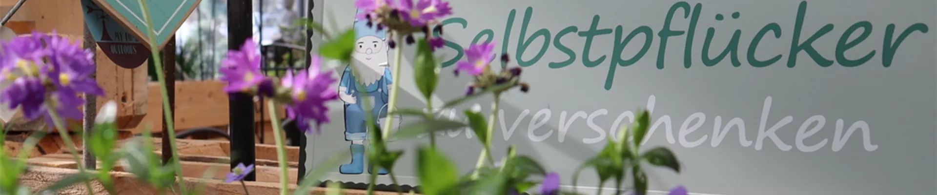 Rosenboutique im Gartencenter Aargau Rosen Huber Dottikon