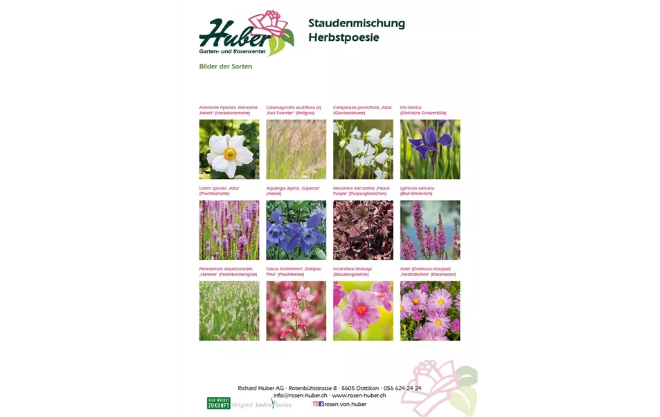 Staudenmischung 4 Herbstpoesie Titelbild.jpg