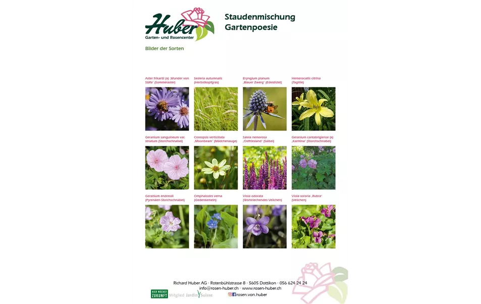 Staudenmischung 8 Gartenpoesie Titelbild.jpg