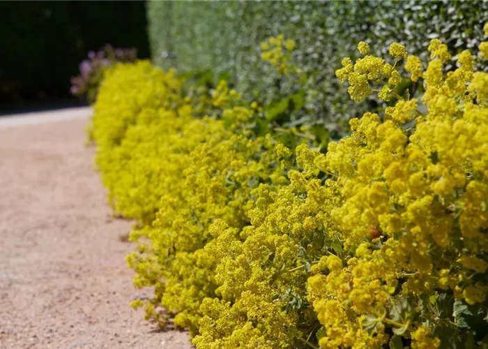 Blackbox-Gardening – die kreative Idee mit den grossen Überraschungseffekten