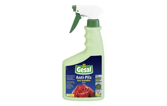 Gesal Rosen-Pilzschutz 