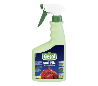 Gesal Rosen-Pilzschutz 