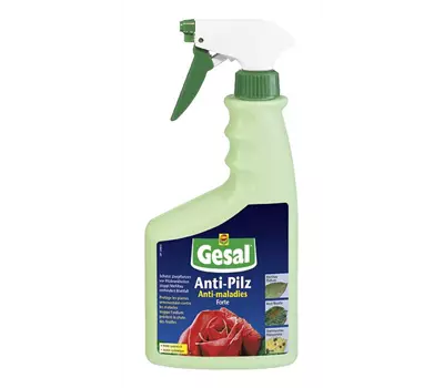 Gesal Rosen-Pilzschutz 