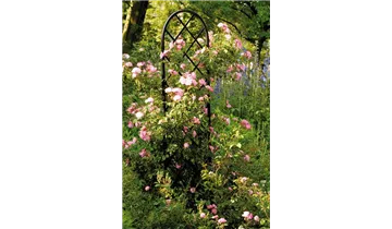 Classic Garden Elements