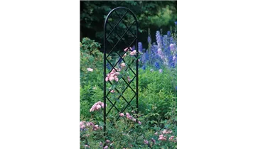 Classic Garden Elements